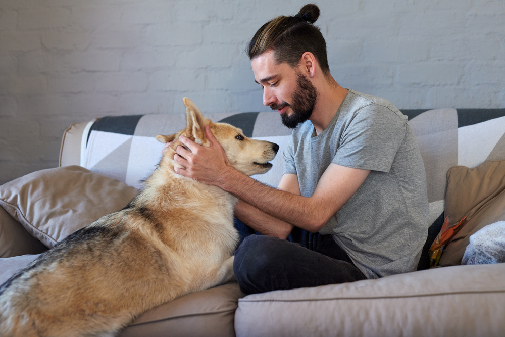 emotional support animal, esa. a man sitting on a couch holding the snout of his husky while snuggling