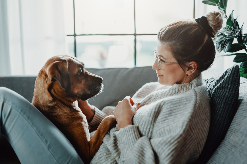 emotional support animal, esa. how to get an esa. a young woman snuggling with her dog on a couch.